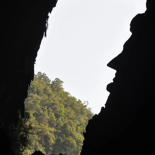 Mulu National Park，位于姆鲁的酒店