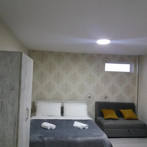 Apartament LashaGiorgi，位于博尔若米的酒店