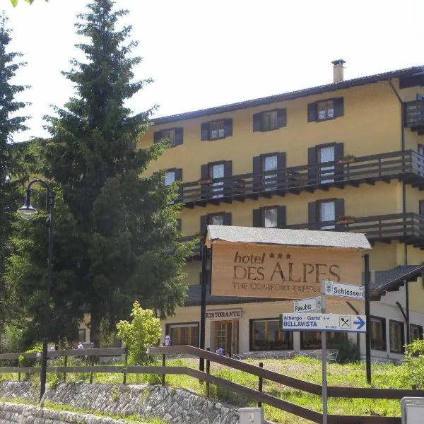 Life Hotels Des Alpes，位于福尔加里亚的酒店
