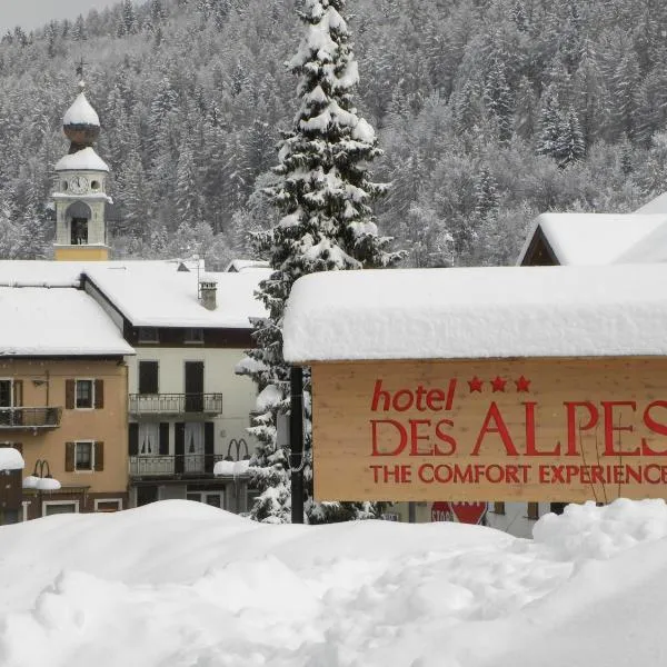 Life Hotels Des Alpes，位于福尔加里亚的酒店