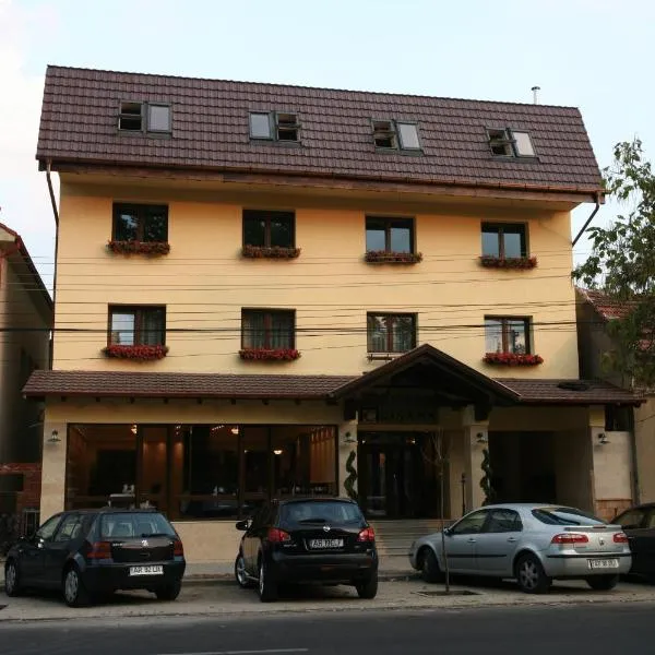 克瑞萨纳阿拉德酒店，位于Curtici的酒店