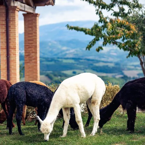 Agriturismo Il Beccafico Alpaca，位于Montanaldo的酒店