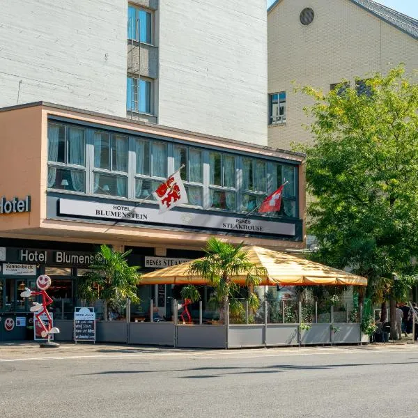 Hotel Blumenstein Self-Check In，位于埃尔格的酒店