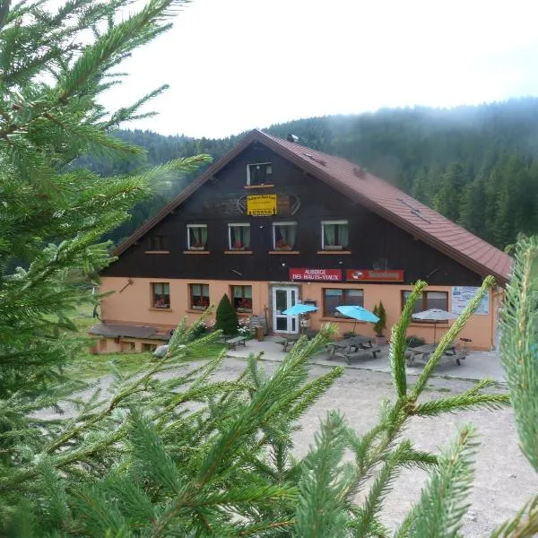 Domaine Des Hauts Viaux，位于拉布雷斯的酒店