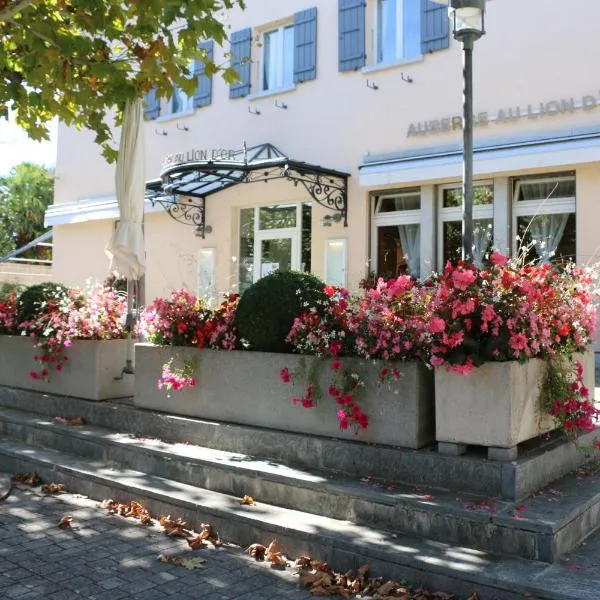 Auberge Au Lion d'Or，位于Tannay的酒店