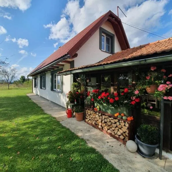 Village House Flowerside，位于Perušić的酒店
