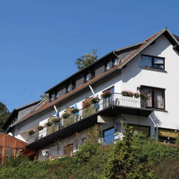 Landgasthaus Rothbrust，位于下齐森的酒店
