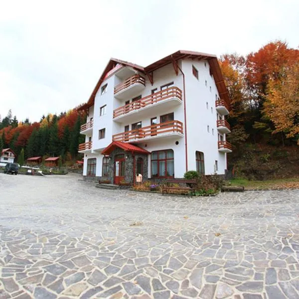 Hotel Paltinis，位于Statiunea Borsa的酒店