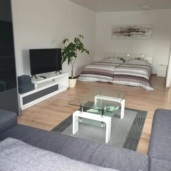 Carina Apartment，位于坎德尔恩的酒店
