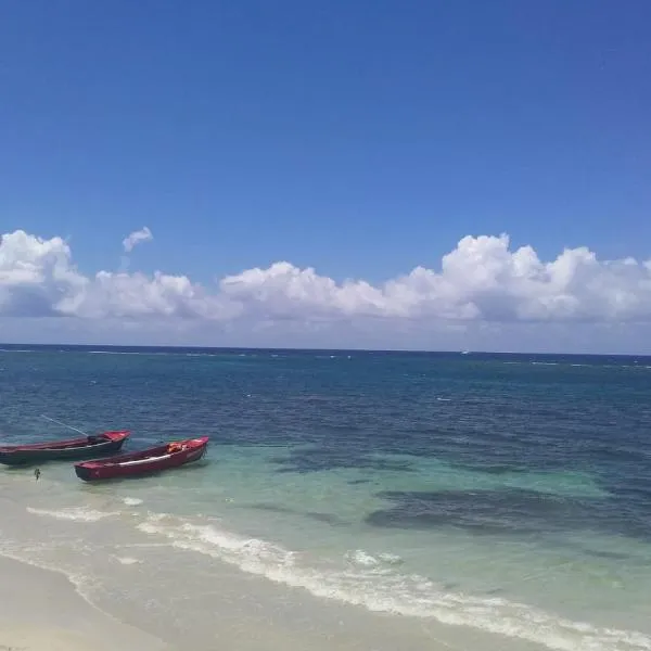 Port Antonio Brian's Beach House，位于安东尼奥港的酒店