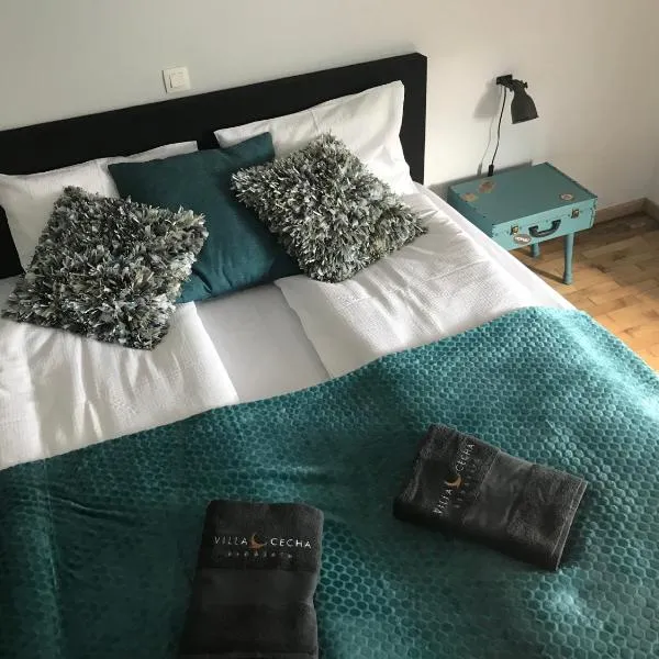 Villa Cecha B&b &Wellness，位于奥斯坦德的酒店