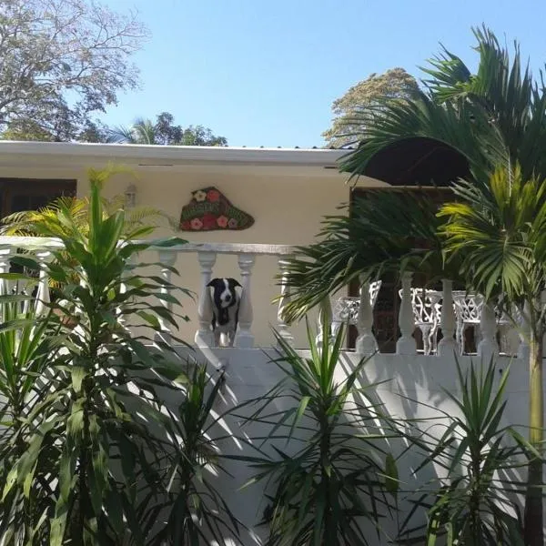 西比克斯豪斯住宿加早餐酒店，位于孔塔多拉的酒店