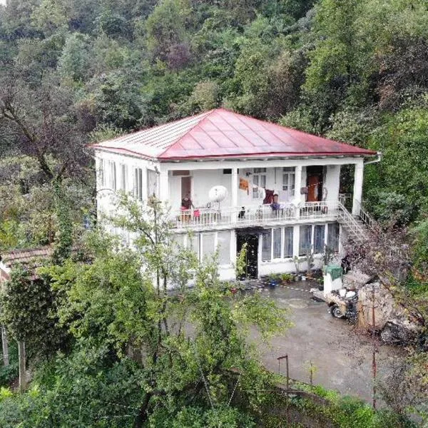 Guest house and cellar winery in Ortabatumi Batumi Georgia，位于Khala的酒店