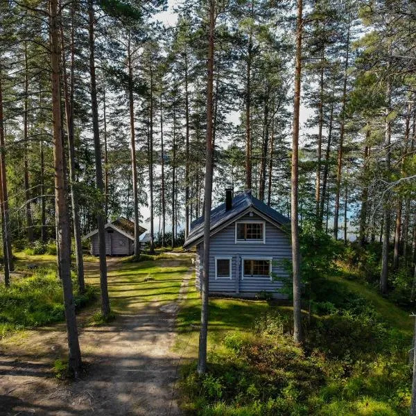 Vacation Home Tulikallio，位于Suonenjoki的酒店