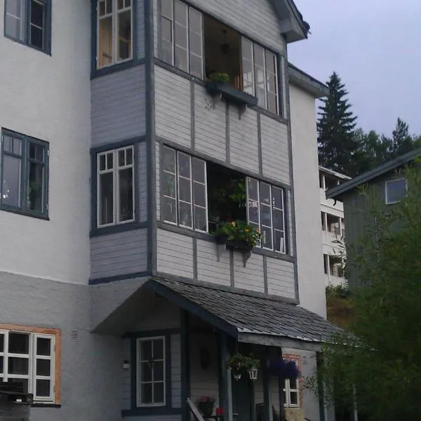 Valdres Naturlegvis，位于赫根尼斯的酒店