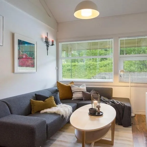 Actif 305 Apartment by Ål Ski Center，位于奥尔的酒店