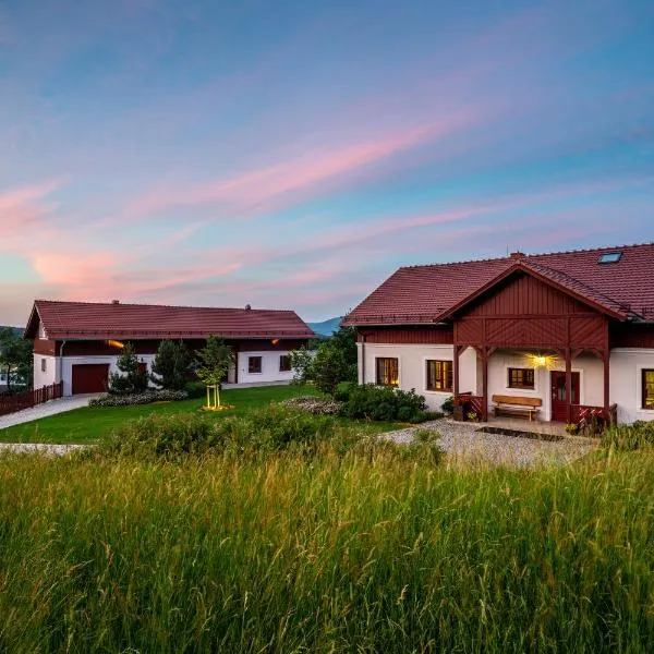 Willa Wzgórze Poręba - w ofercie darmowe ładowanie aut elektrycznych，位于德武戈波莱兹德鲁伊的酒店