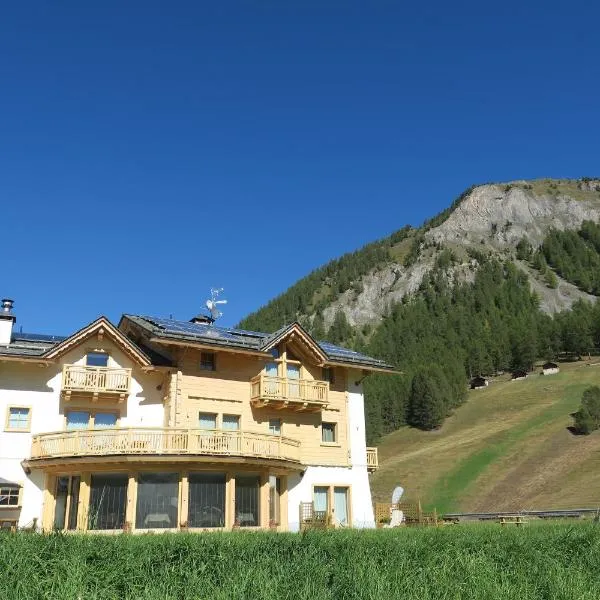 B&B Ecohotel Chalet des Alpes，位于利维尼奥的酒店