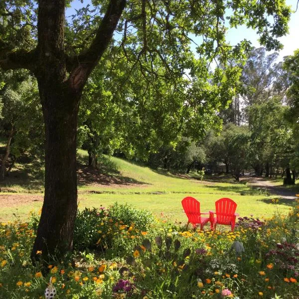 Amitabha Wine Country Cottage，位于圣罗莎的酒店