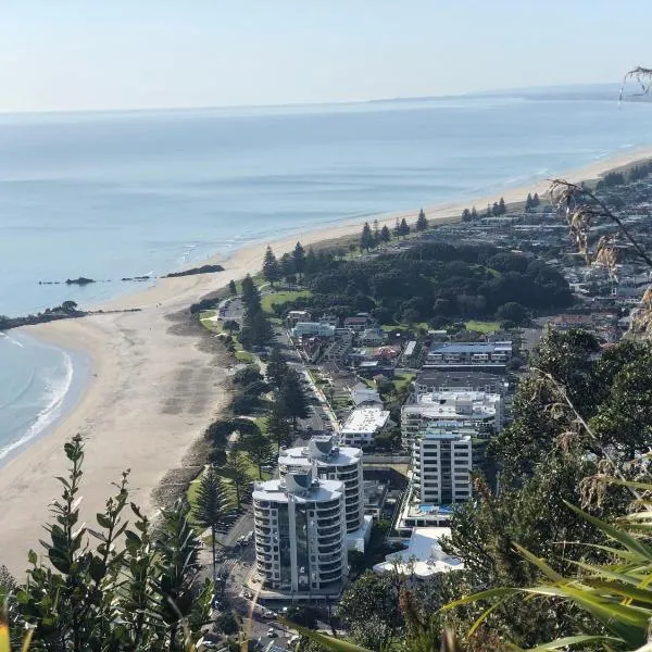 Oceanside Apartment，位于芒格努伊山的酒店