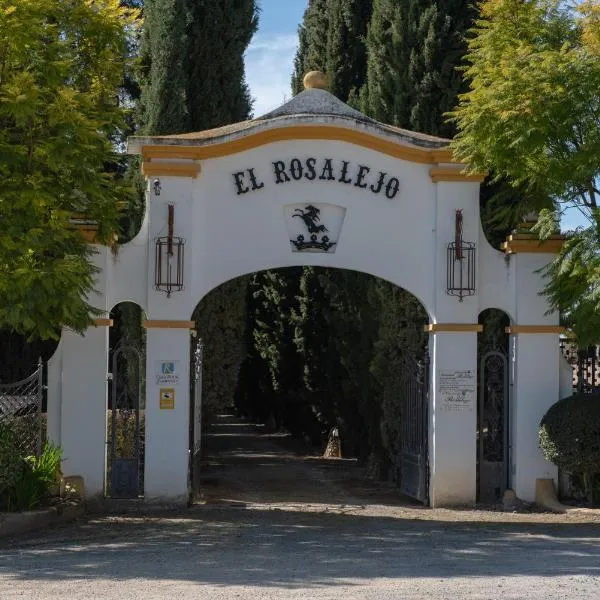 Hacienda El Rosalejo，位于比利亚马尔廷的酒店