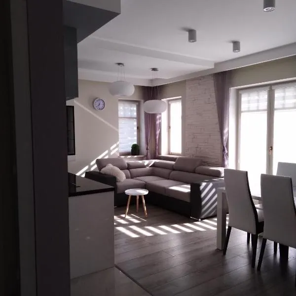 Apartament 15 Delux- Bliżej Zdroju，位于波兰尼卡-兹德鲁伊的酒店