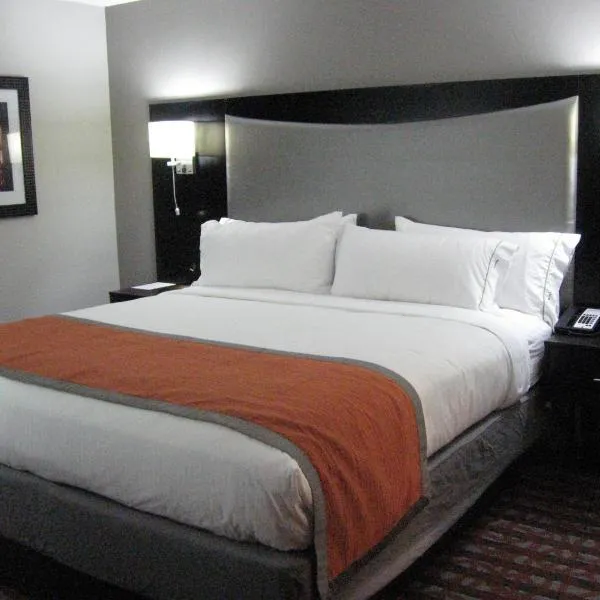Holiday Inn Express & Suites Nashville Southeast - Antioch, an IHG Hotel，位于拉沃尼的酒店