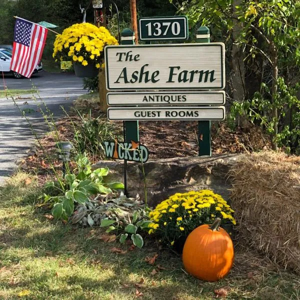 The Ashe Farm，位于Marshall的酒店