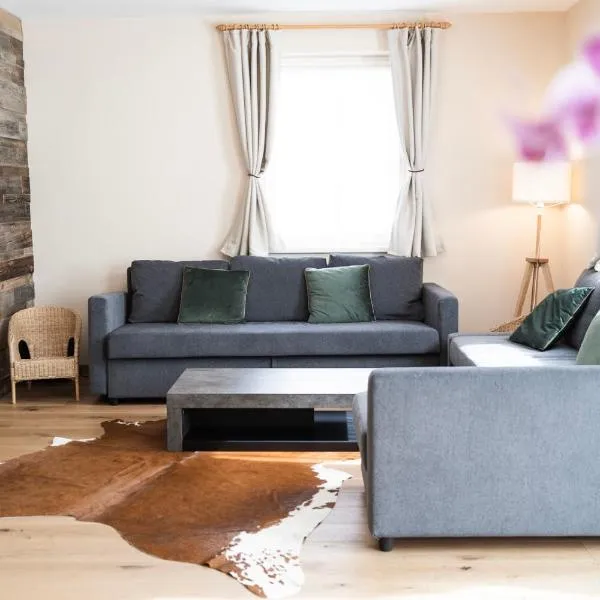 Ski in - Ski out Schladming NEM Alpin Chalet，位于斯拉德明的酒店