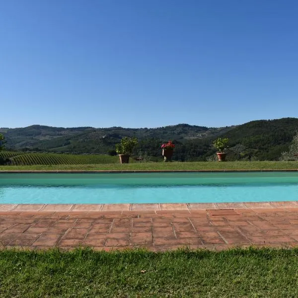 Agriturismo Il Santo，位于基安蒂格雷夫的酒店