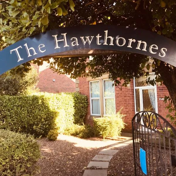 The Hawthornes Licensed Guest House，位于达灵顿的酒店