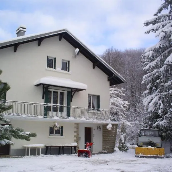 Gîte grande capacité au calme circuit Cascades du Hérisson，位于Ménétrux-en-Joux的酒店