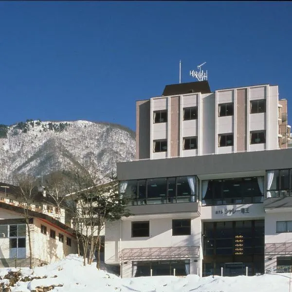 山之內町小屋酒店，位于中野市的酒店