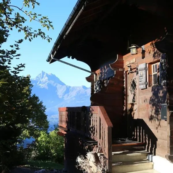 Chalet Blanche Neige，位于格里翁的酒店