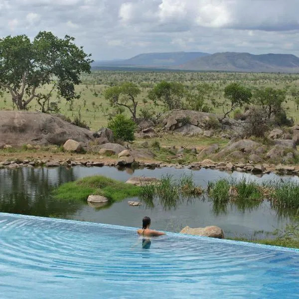 塞伦盖蒂四季野生酒店，位于Nyabogati的酒店