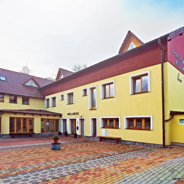 Wellness Penzion Eva，位于Dolní Moravice的酒店