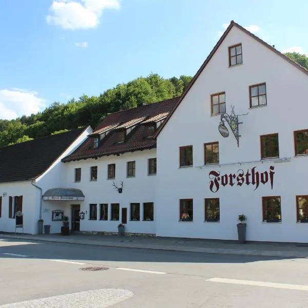 Land-gut-Hotel Forsthof，位于Ursensollen的酒店