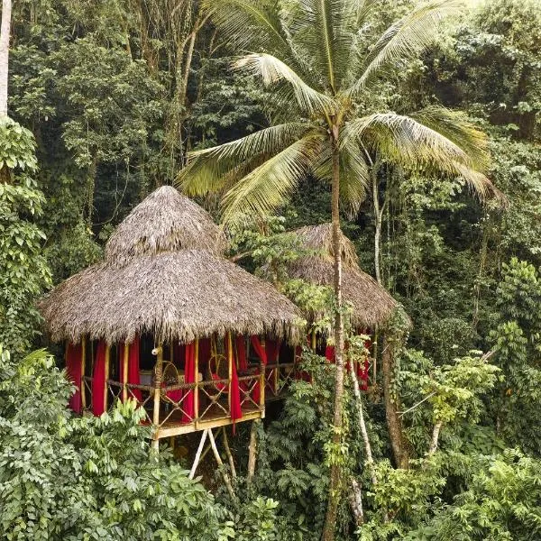 Dominican Tree House Village，位于圣塔芭芭拉-山美纳的酒店