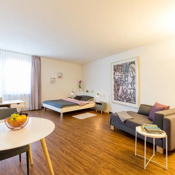 Apartmenthaus zum Trillen Basel City Center，位于巴塞尔的酒店