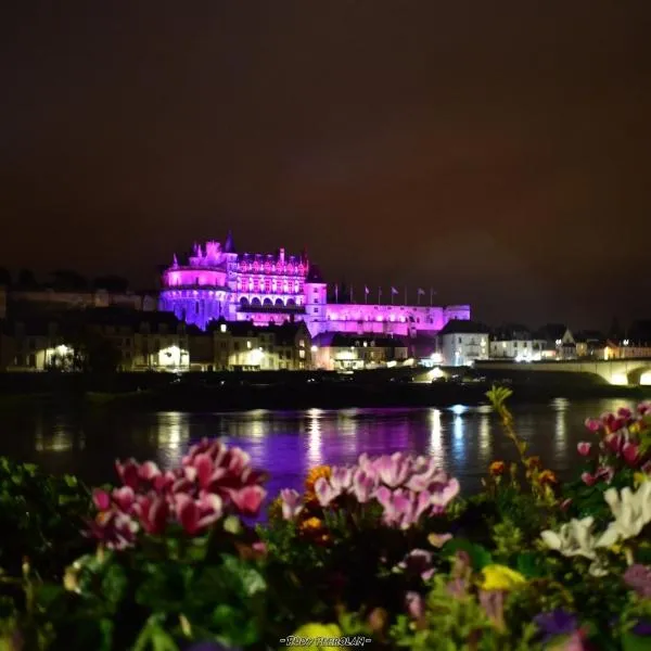 索伊斯克一室公寓酒店，位于阿姆博斯的酒店