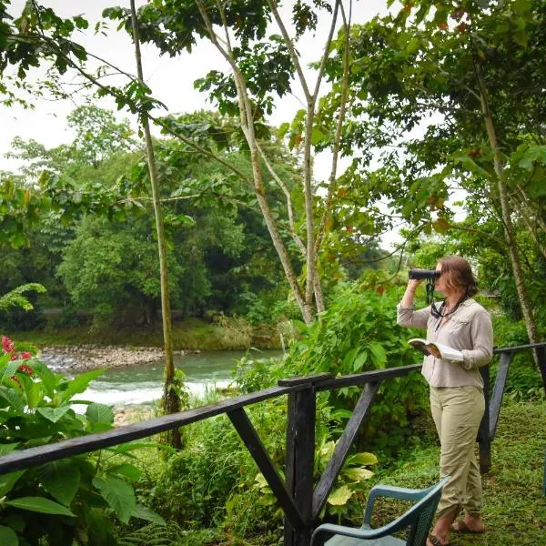 Chilamate Rainforest Eco Retreat，位于Hacienda Vieja的酒店