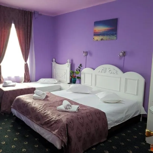 Hotel Darosy，位于Şagu的酒店