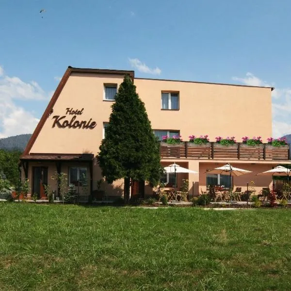 Hotel Kolonie，位于Krásná的酒店