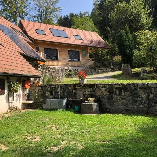 La Maison de Jean，位于Les Adrets的酒店