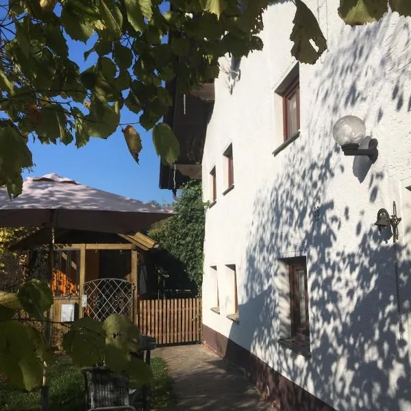 Burgruine Schöllnstein，位于Iggensbach的酒店