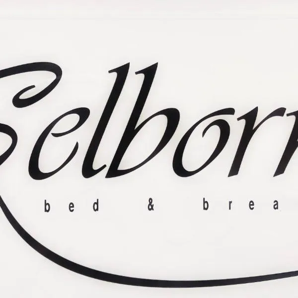 Selborne Bed and Breakfast，位于Buffalo的酒店