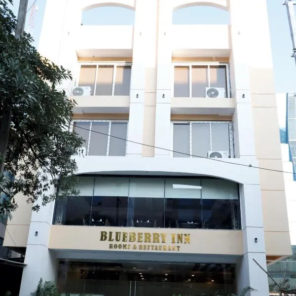 Blueberry Inn，位于Māndhar的酒店
