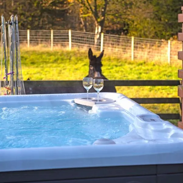 Glen Bay - 2 Bed Lodge on Friendly Farm Stay with Private Hot Tub，位于新卡姆诺克的酒店