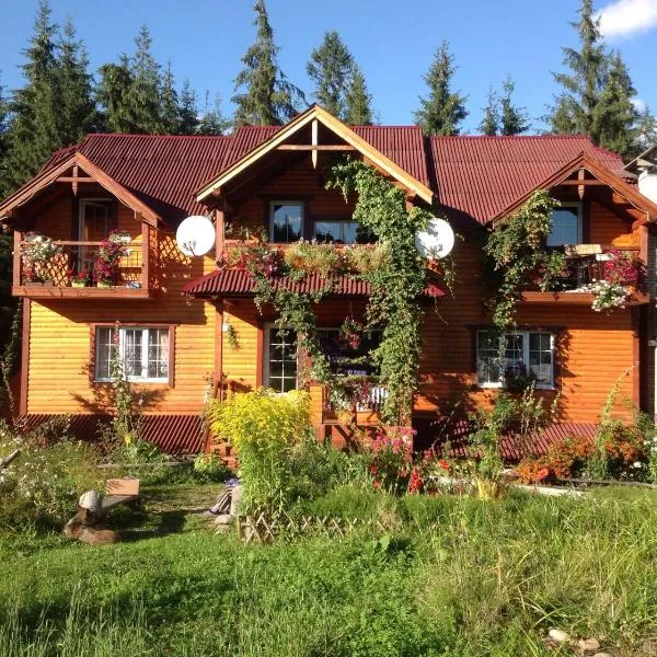 Cottage 12 Months，位于Ilʼtsya Gurny的酒店