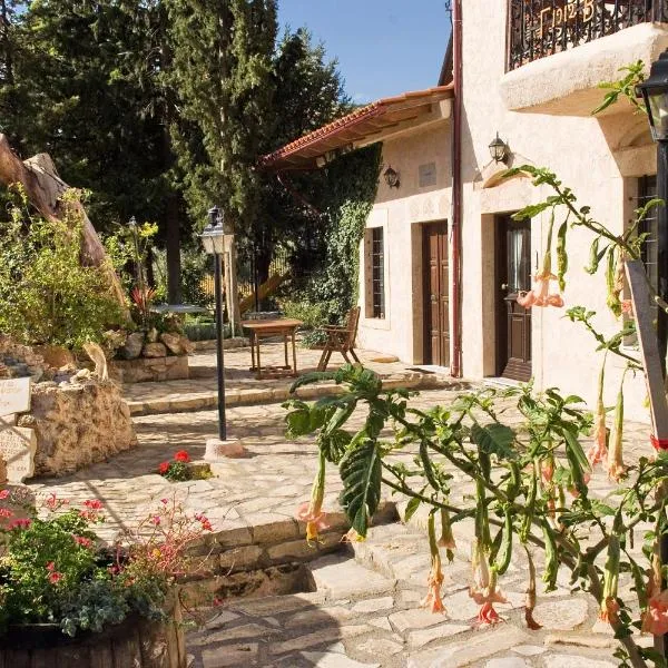 达斯卡洛吉安尼公寓，位于Agios Thomas的酒店